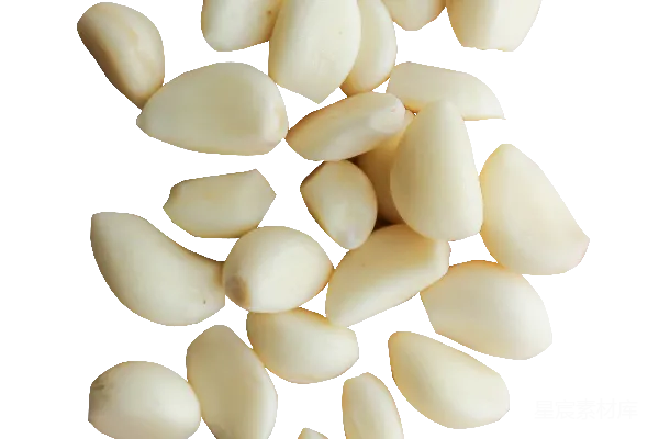 元素素材 大蒜