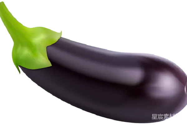 元素素材 紫色茄子