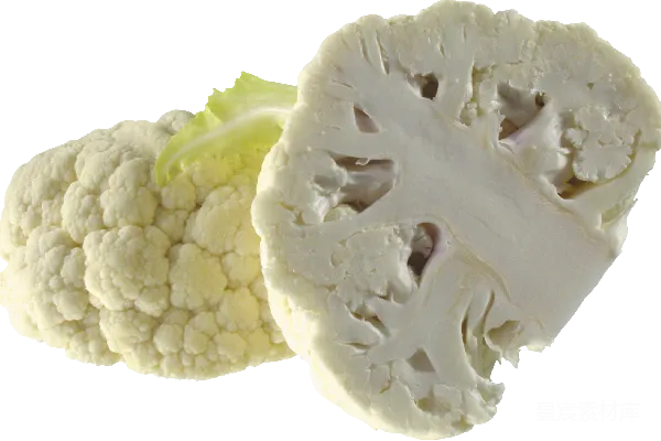 元素素材 cauliflower