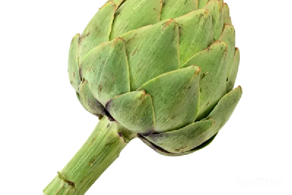 元素素材 西兰花