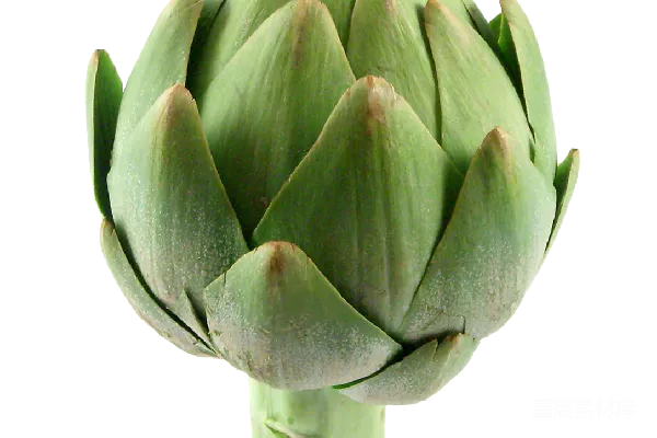 元素素材 西兰花