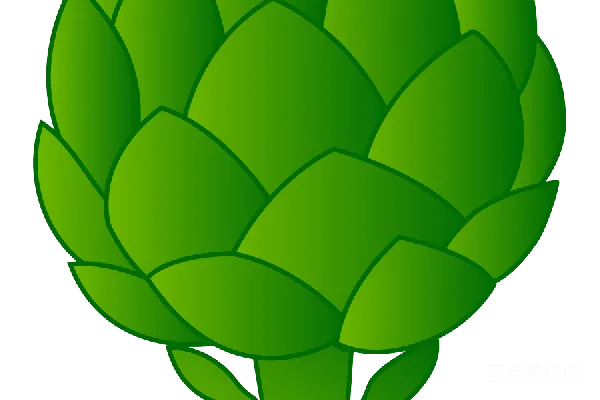 元素素材 绿色的花椰菜矢量图