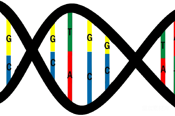 元素素材 DNA