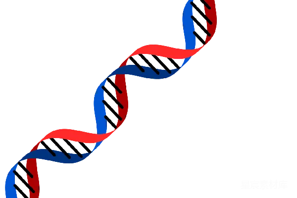 元素素材 DNA