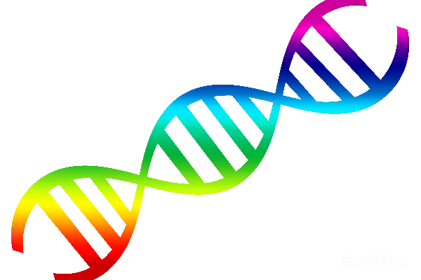 元素素材 DNA
