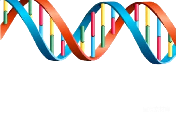 元素素材 DNA