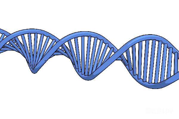 元素素材 DNA