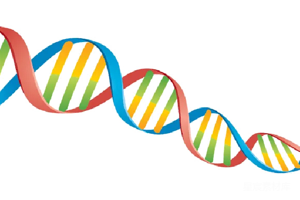 元素素材 DNA