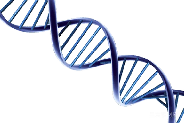 元素素材 DNA