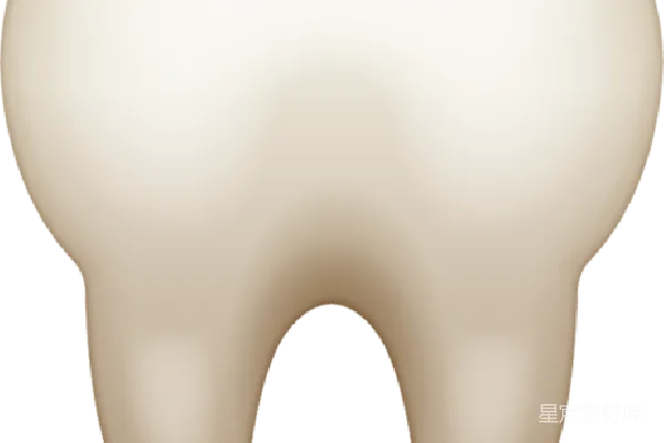 元素素材 牙齿
