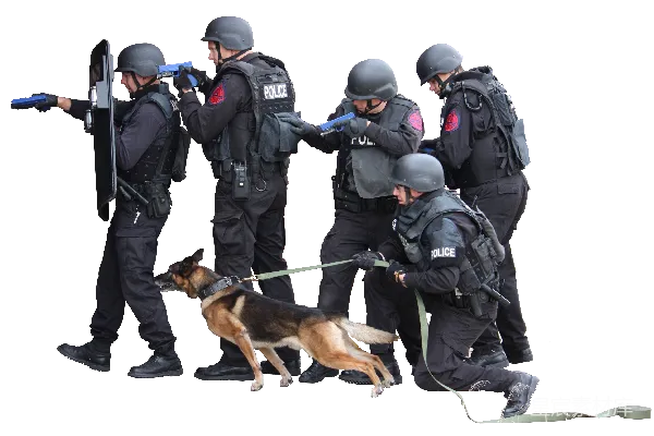 元素素材 战术警察与警犬行动