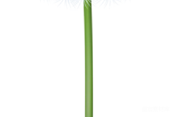 元素素材 蒲公英