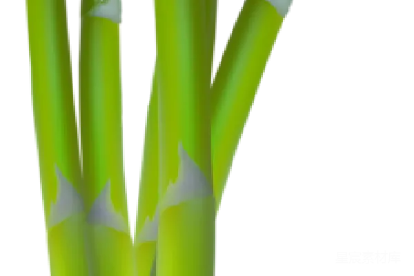 元素素材 PNG