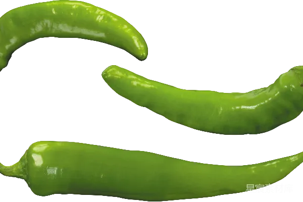 元素素材 jalapeño