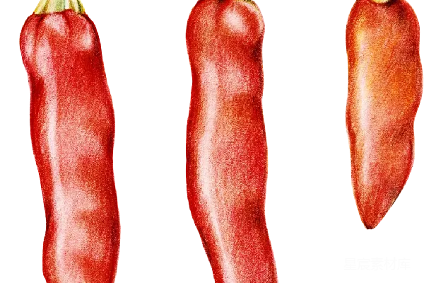 元素素材 辣椒