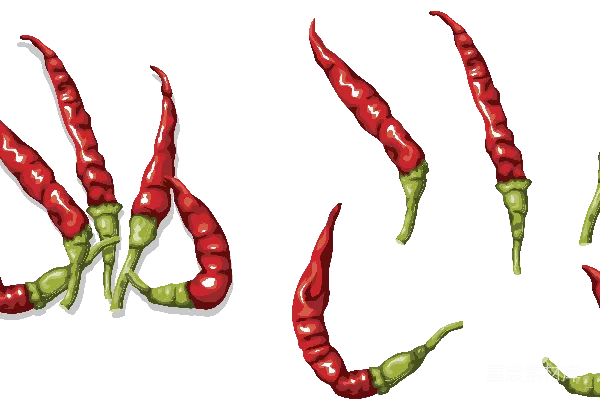 元素素材 chili