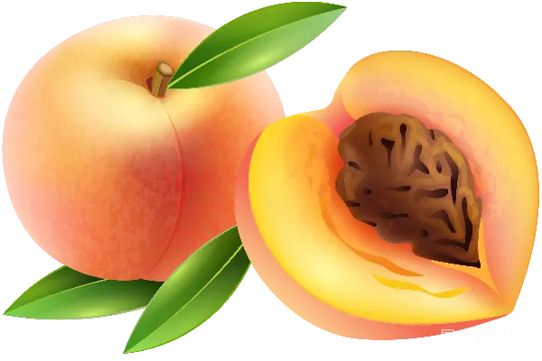 元素素材 透明