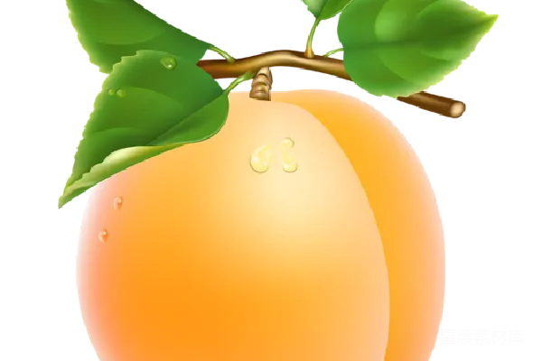 元素素材 透明