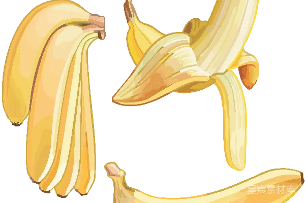 元素素材 透明