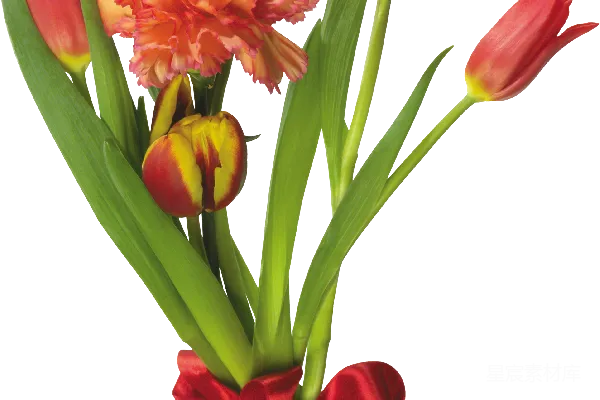 元素素材 花束