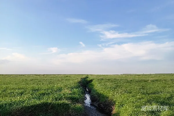 高清摄影 一条溪流穿过一片翠绿的田野