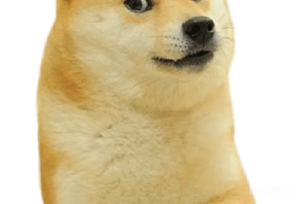 元素素材 狗狗币