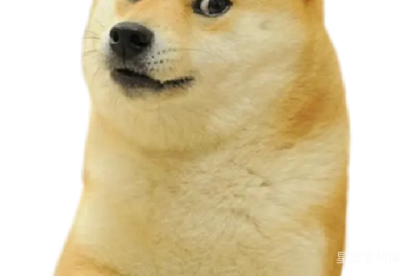 元素素材 柴犬表情包