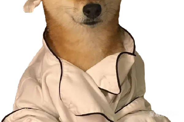 元素素材 萌宠睡衣趴