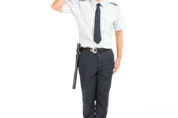 元素素材 卫士