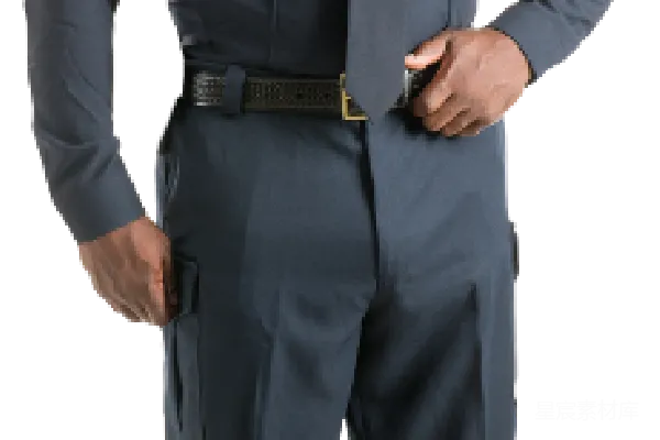 元素素材 卫士