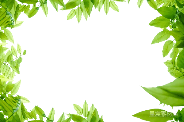 元素素材 丛林