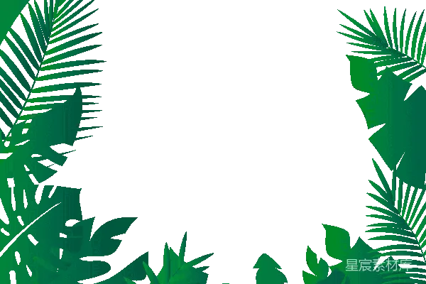 元素素材 热带植物边框