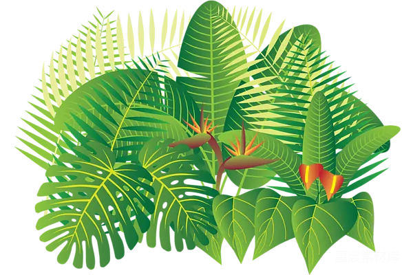元素素材 热带植物插画