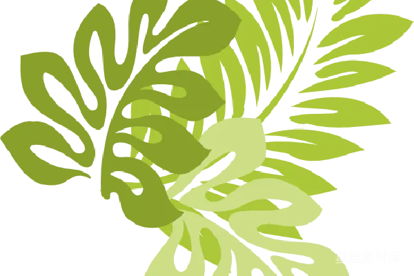 元素素材 热带植物剪影