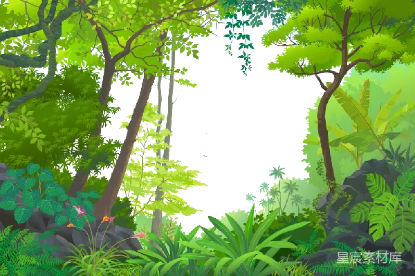 元素素材 丛林