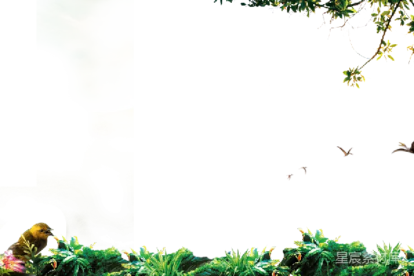 元素素材 透明