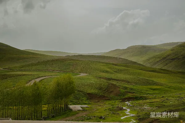 高清摄影 一条蜿蜒穿过郁郁葱葱山谷的道路