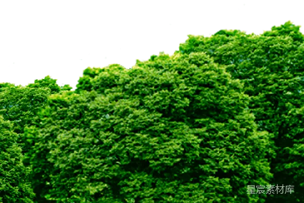 元素素材 透明的