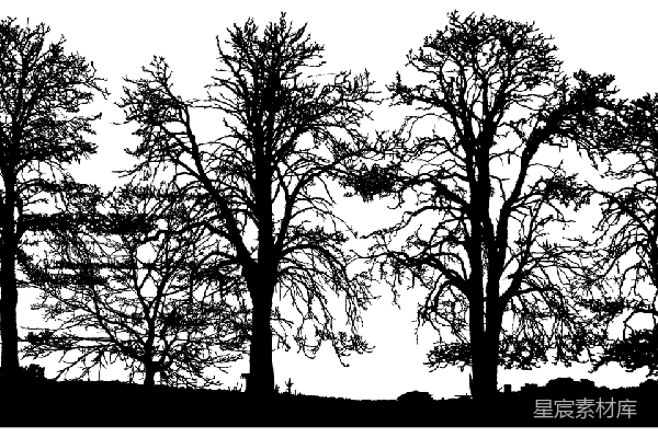 元素素材 透明