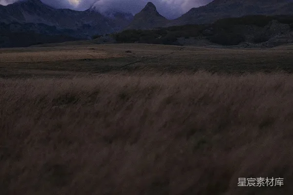 高清摄影 背景是山的草甸场