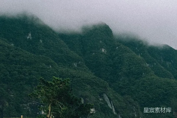 高清摄影 几只羊站在一片绿油油的山坡上