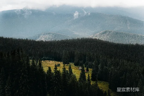 高清摄影 山脚下有连绵的山脉和 foreground 那里的松树美景。