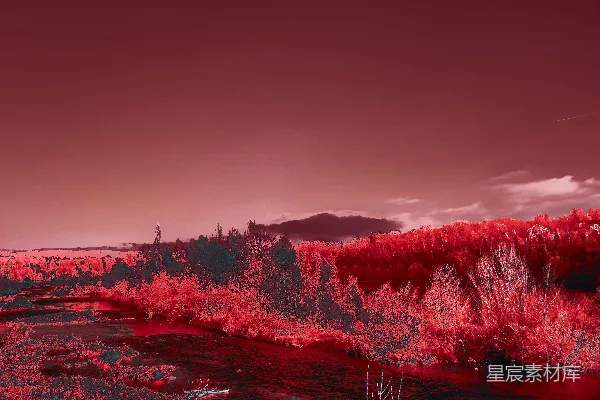 高清摄影 红外景观中有树木和一条河流。