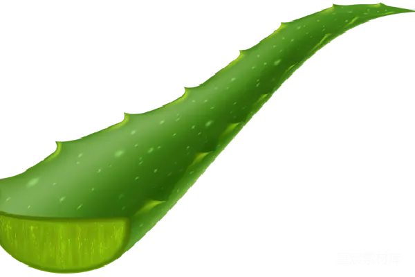 元素素材 芦荟