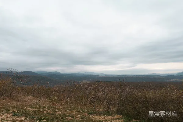 高清摄影 远处有一片草地，树木和山峦在其中。