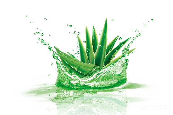 元素素材 芦荟与水的动态艺术
