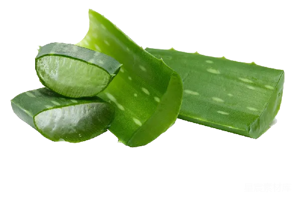 元素素材 芦荟