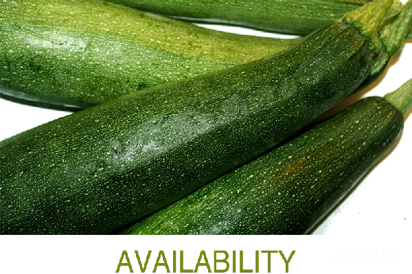 元素素材 夏季蔬菜：绿色南瓜