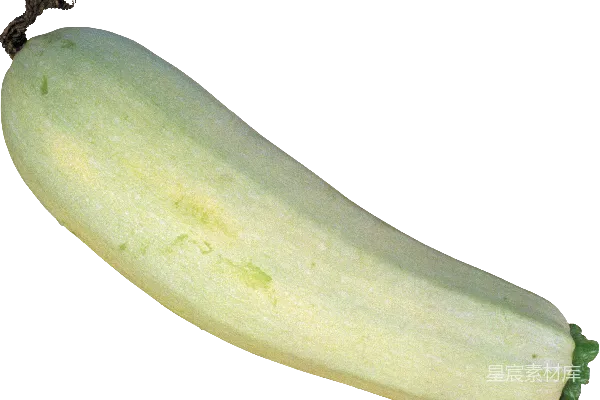 元素素材 骨髓