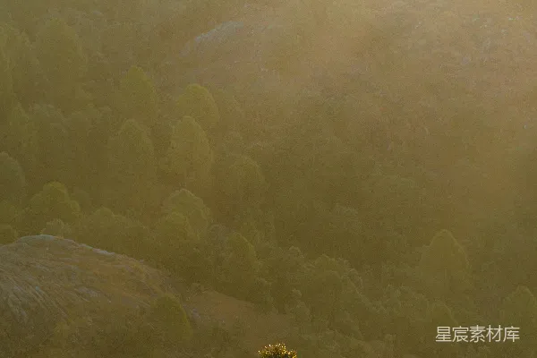 高清摄影 田野中一棵孤独的树，背景是山。